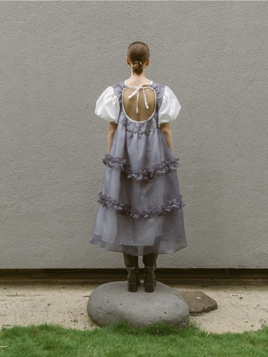 Brigiton Organza Dress - Image 3